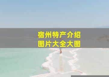 宿州特产介绍图片大全大图