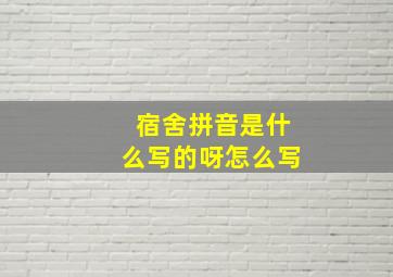 宿舍拼音是什么写的呀怎么写