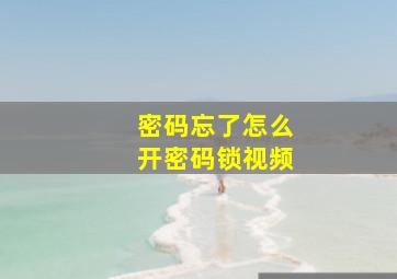 密码忘了怎么开密码锁视频