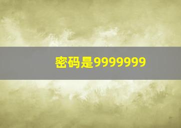 密码是9999999