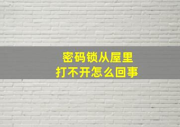 密码锁从屋里打不开怎么回事