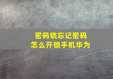 密码锁忘记密码怎么开锁手机华为