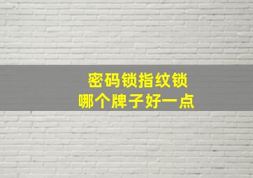 密码锁指纹锁哪个牌子好一点