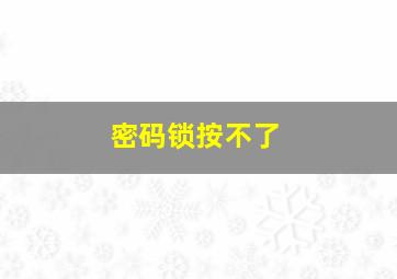 密码锁按不了