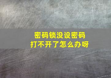 密码锁没设密码打不开了怎么办呀