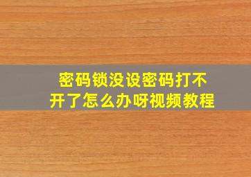 密码锁没设密码打不开了怎么办呀视频教程