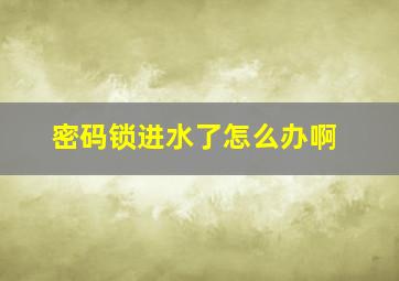 密码锁进水了怎么办啊