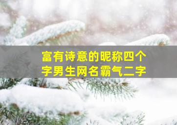 富有诗意的昵称四个字男生网名霸气二字