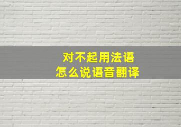 对不起用法语怎么说语音翻译