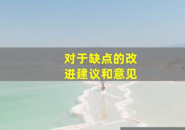 对于缺点的改进建议和意见