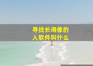 寻找长得像的人软件叫什么