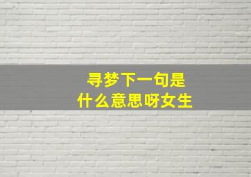 寻梦下一句是什么意思呀女生