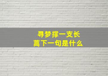 寻梦撑一支长蒿下一句是什么