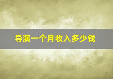 导演一个月收入多少钱