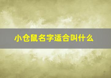 小仓鼠名字适合叫什么