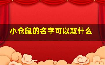 小仓鼠的名字可以取什么