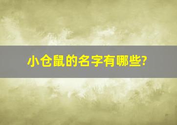 小仓鼠的名字有哪些?