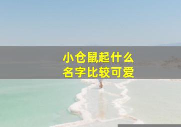 小仓鼠起什么名字比较可爱