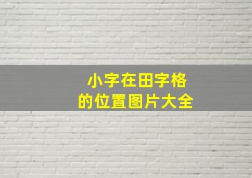 小字在田字格的位置图片大全