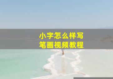 小字怎么样写笔画视频教程