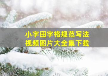 小字田字格规范写法视频图片大全集下载