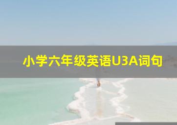 小学六年级英语U3A词句