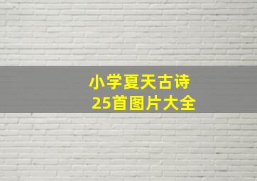 小学夏天古诗25首图片大全