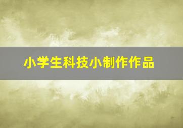 小学生科技小制作作品