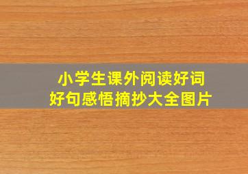 小学生课外阅读好词好句感悟摘抄大全图片