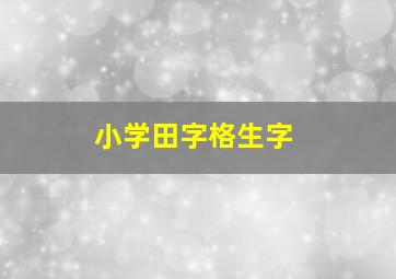 小学田字格生字