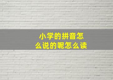 小学的拼音怎么说的呢怎么读