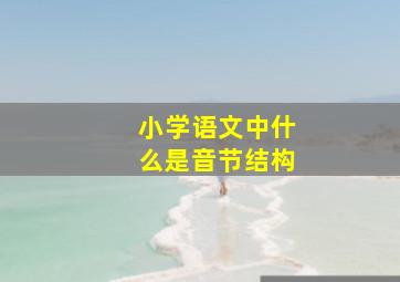 小学语文中什么是音节结构