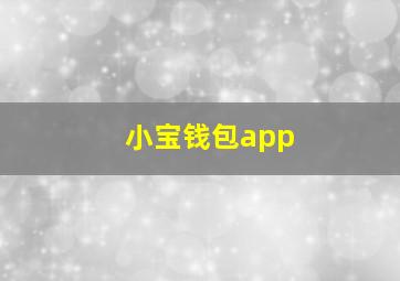 小宝钱包app