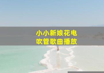 小小新娘花电吹管歌曲播放