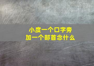 小度一个口字旁加一个部首念什么