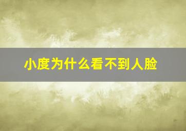 小度为什么看不到人脸