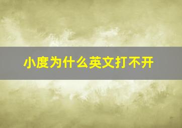 小度为什么英文打不开