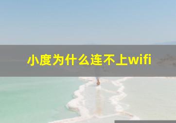 小度为什么连不上wifi