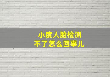 小度人脸检测不了怎么回事儿