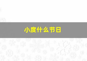 小度什么节日