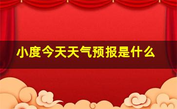 小度今天天气预报是什么