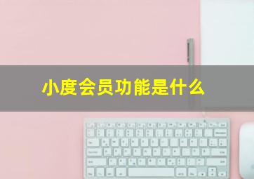 小度会员功能是什么