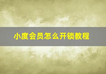 小度会员怎么开锁教程