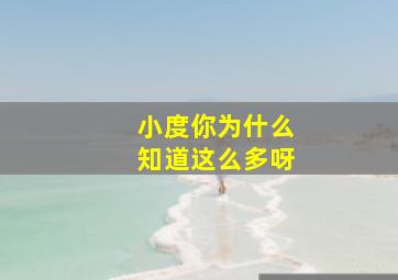 小度你为什么知道这么多呀