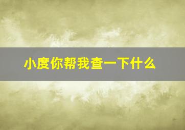 小度你帮我查一下什么