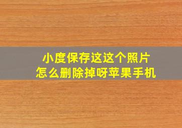 小度保存这这个照片怎么删除掉呀苹果手机