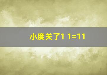 小度关了1+1=11