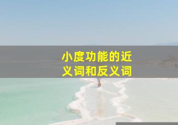 小度功能的近义词和反义词