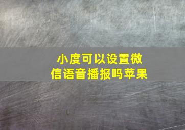 小度可以设置微信语音播报吗苹果