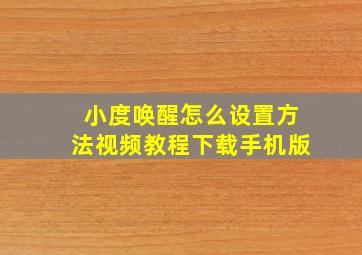 小度唤醒怎么设置方法视频教程下载手机版